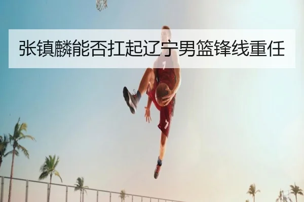张镇麟能否扛起辽宁男篮锋线重任