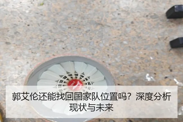 郭艾伦还能找回国家队位置吗？深度分析现状与未来