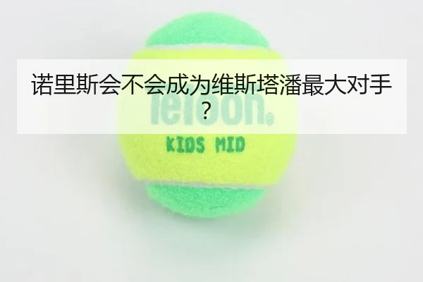 诺里斯会不会成为维斯塔潘最大对手？