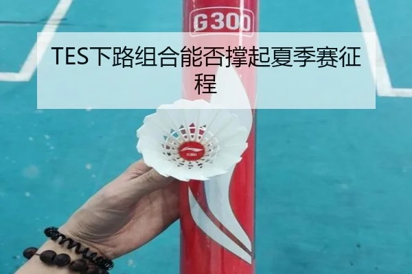 TES下路组合能否撑起夏季赛征程