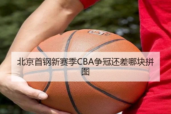 北京首钢新赛季CBA争冠还差哪块拼图
